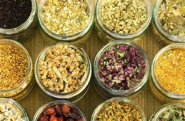 čiščenje telesa parazitov z ljudskimi zdravili