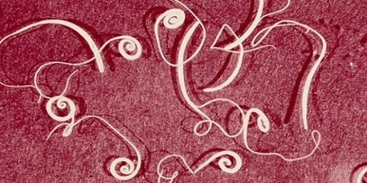 fotografija parazitov iz človeškega telesa